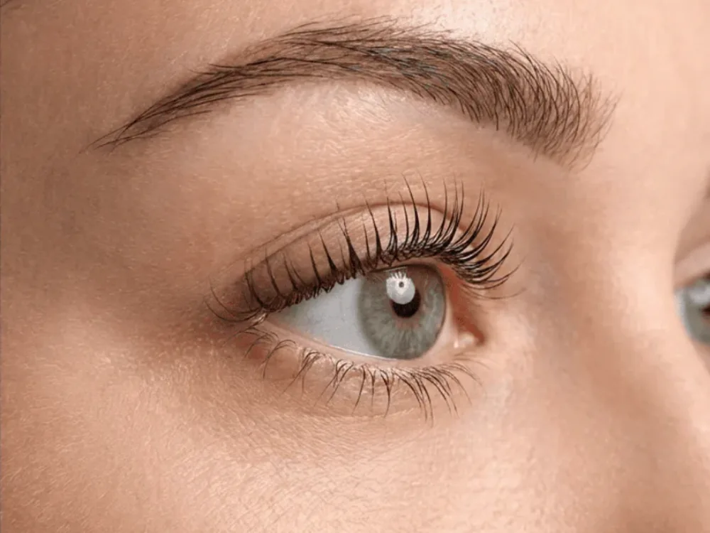 natural eyelashes Egypt